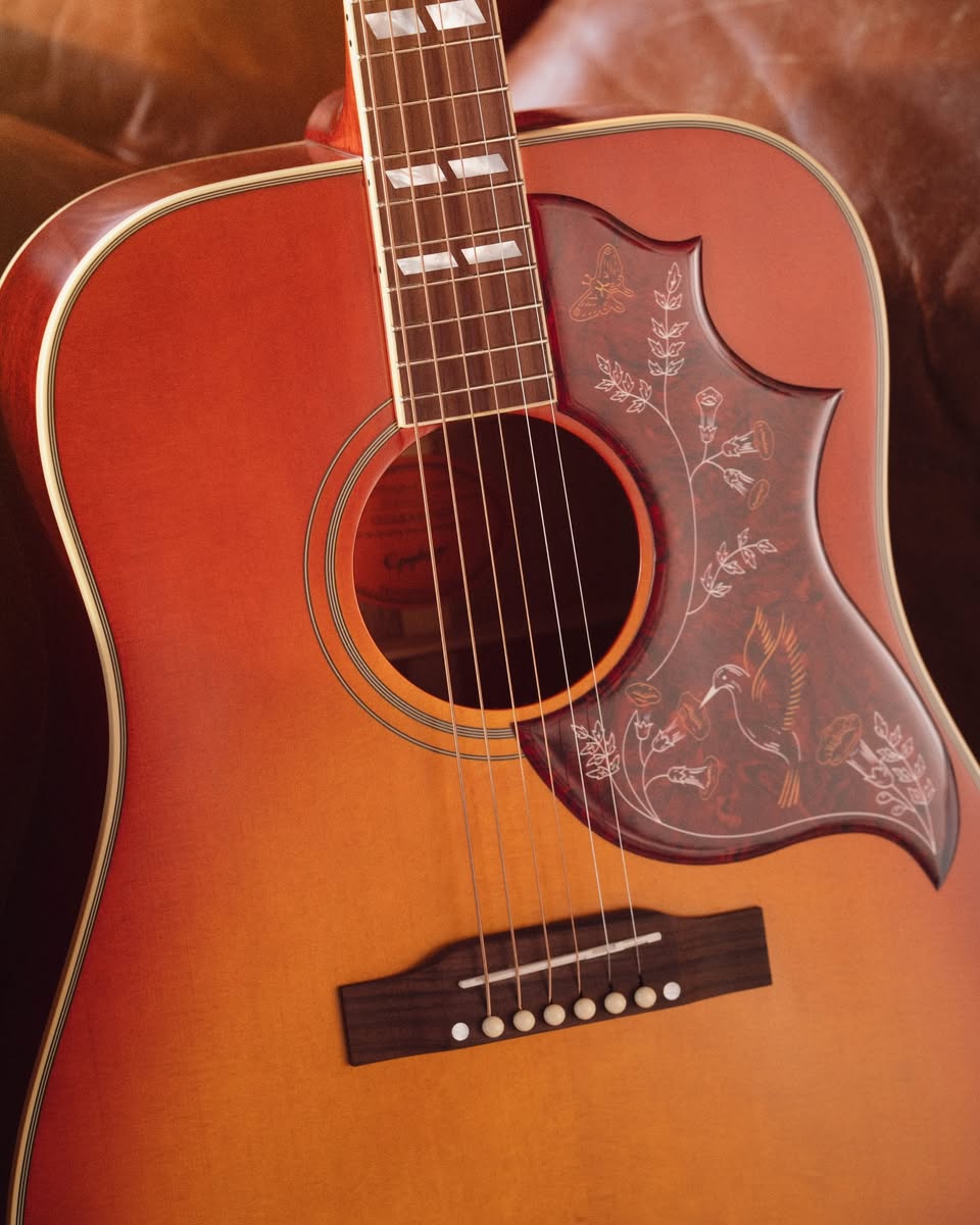 Acoustic Guitars
