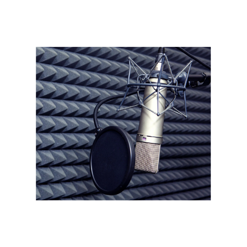 Pop Filter PS-1