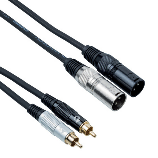 Bespeco EAY2X2R 2 RCA to 2 XLR Male Audio Cable