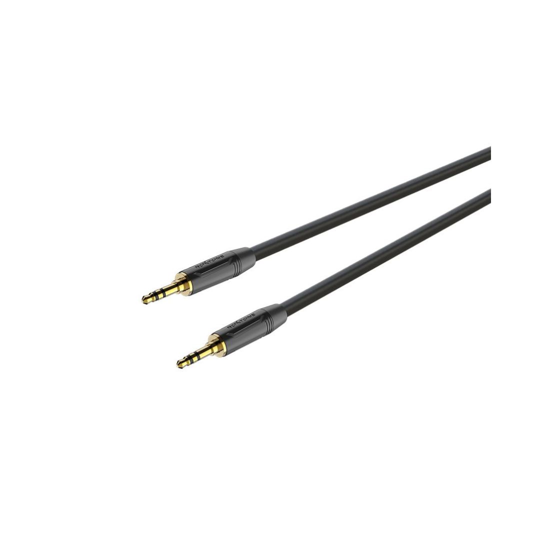 Roxtone GPTC110L09 Professional AUX Cable