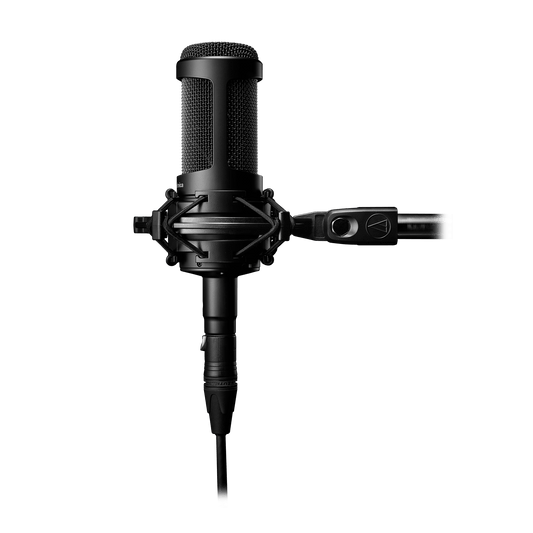 Audio-Technica AT2050